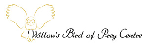 Willows Bird of Prey Centre