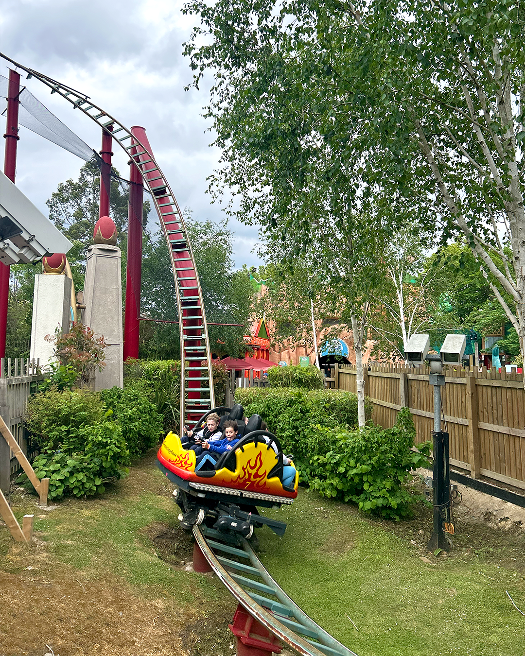 Sibling Support Service - Chessington Fun Day | Taylor Made Dreams